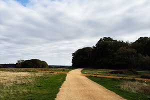 Gravel path through countryside toward trees under a bright blue sky in London, a Nature Photo by AS photostudio
