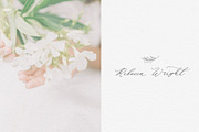 Olive leaves. Laurel frame & wreath, a Decorative Illustration by Summer Nightingale Art (Thumbnail 9 of 15)