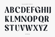 Mauline Display Serif Font, a Serif Font by Yukita Creative (Thumbnail 7 of 12)