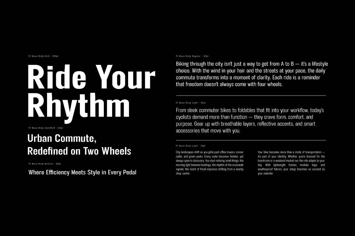 FT Neue Buddy - 5 Styles Sans Serif, a Sans Serif Font by fuzztype (Photo 8 of 15)
