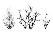 Foliage 2 Brush Set, a Brush Add-On by Zsolt Kosa Art (Thumbnail 4 of 8)