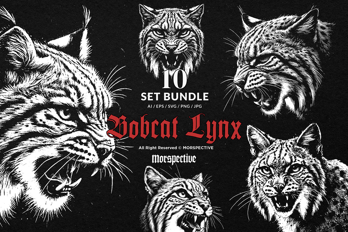 10 Bundle Dark Art Bobcat Lynx Tiger, an Illustration by Morspective (Photo 1 of 7)