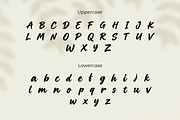 RogueInk-Expressive Handwritten, a Handwritten Font by AN Productions (Thumbnail 3 of 4)