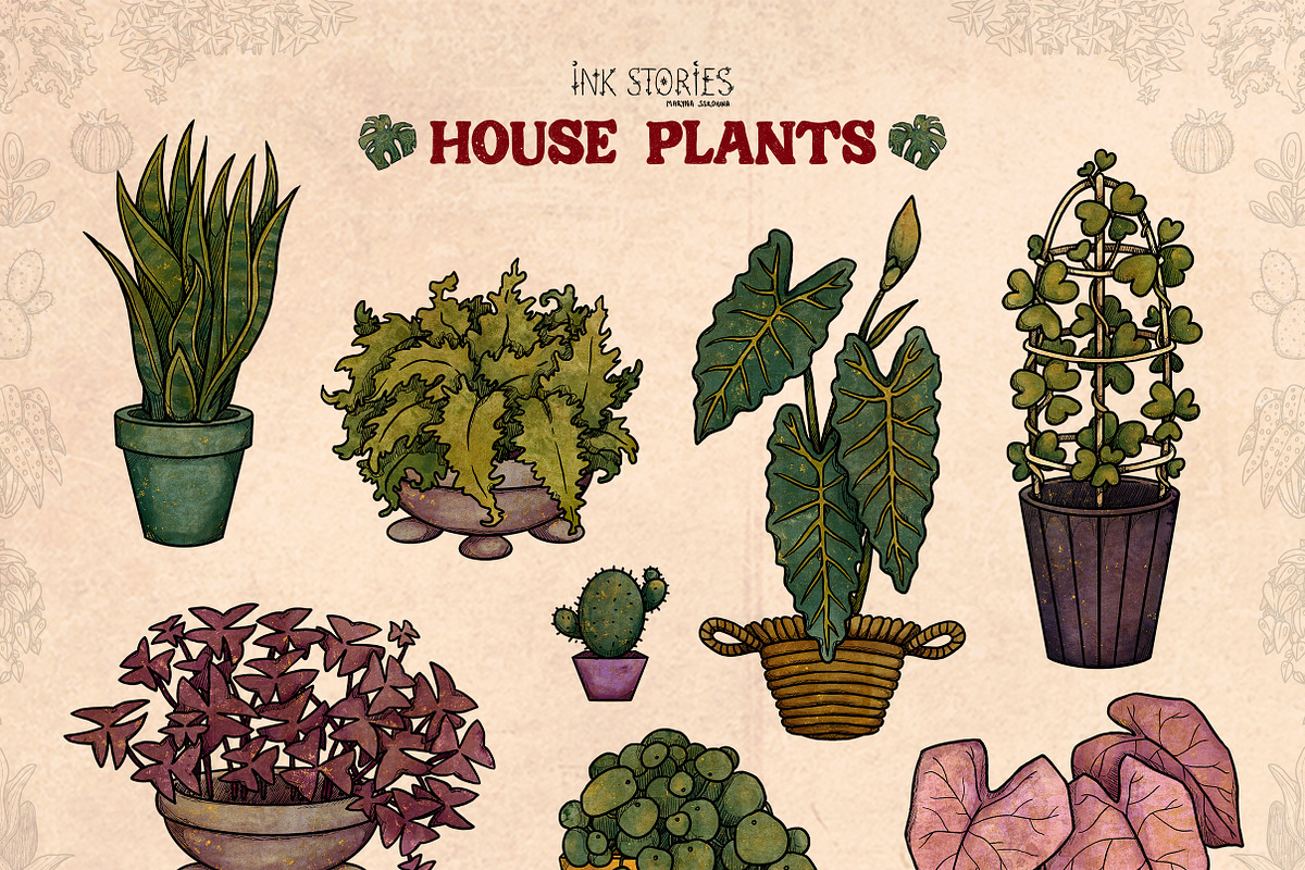 House Plants, an Object Illustration by Ink Stories (Photo 4 of 23)