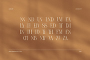 Stunder Modern Elegant Serif Font, a Serif Font by Elegant Font (Thumbnail 8 of 8)