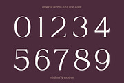 Imperial Aureas a Minimal Serif, a Serif Font by Lettertype Studio (Thumbnail 13 of 16)