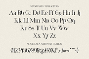 Nicholas // A Modern Display Font, a Serif Font by RockboyStd (Thumbnail 9 of 12)