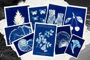120 Paper Memories Backgrounds, a Texture Graphic by Trissa (Thumbnail 3 of 8)