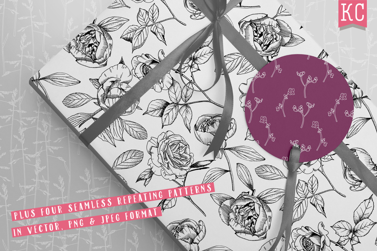 Vector Botanical Illustrations, an Illustration by Katy Clemmans (Photo 6 of 8)