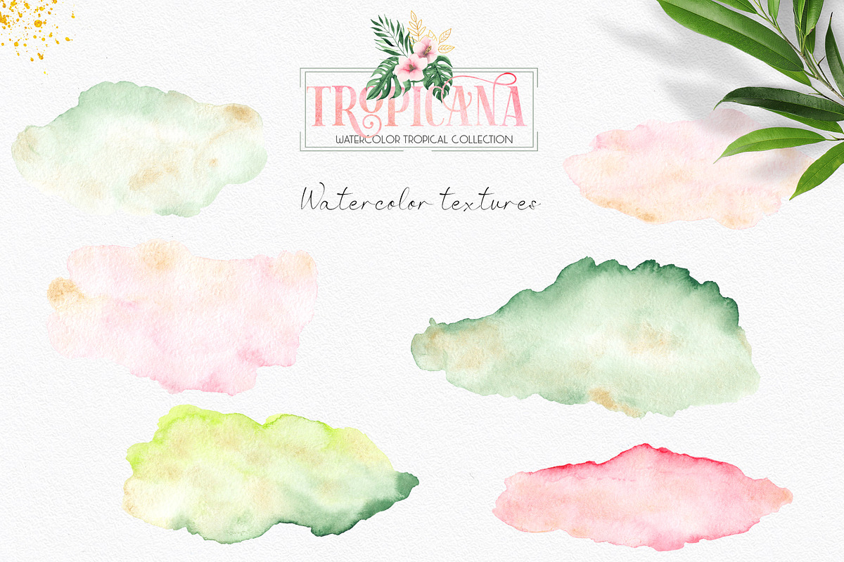 Watercolor tropical collection, an Object Graphic by Ana-Sakuta (Photo 15 of 16)