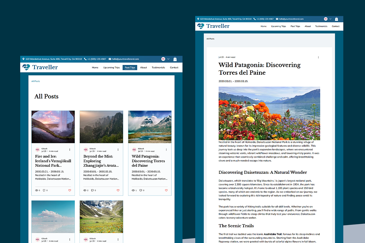 Travel Agency / Blog Website preview 8