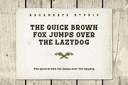 Prairie Wagon - Western Serif, a Slab Serif Font by RagamKata (Thumbnail 9 of 10)