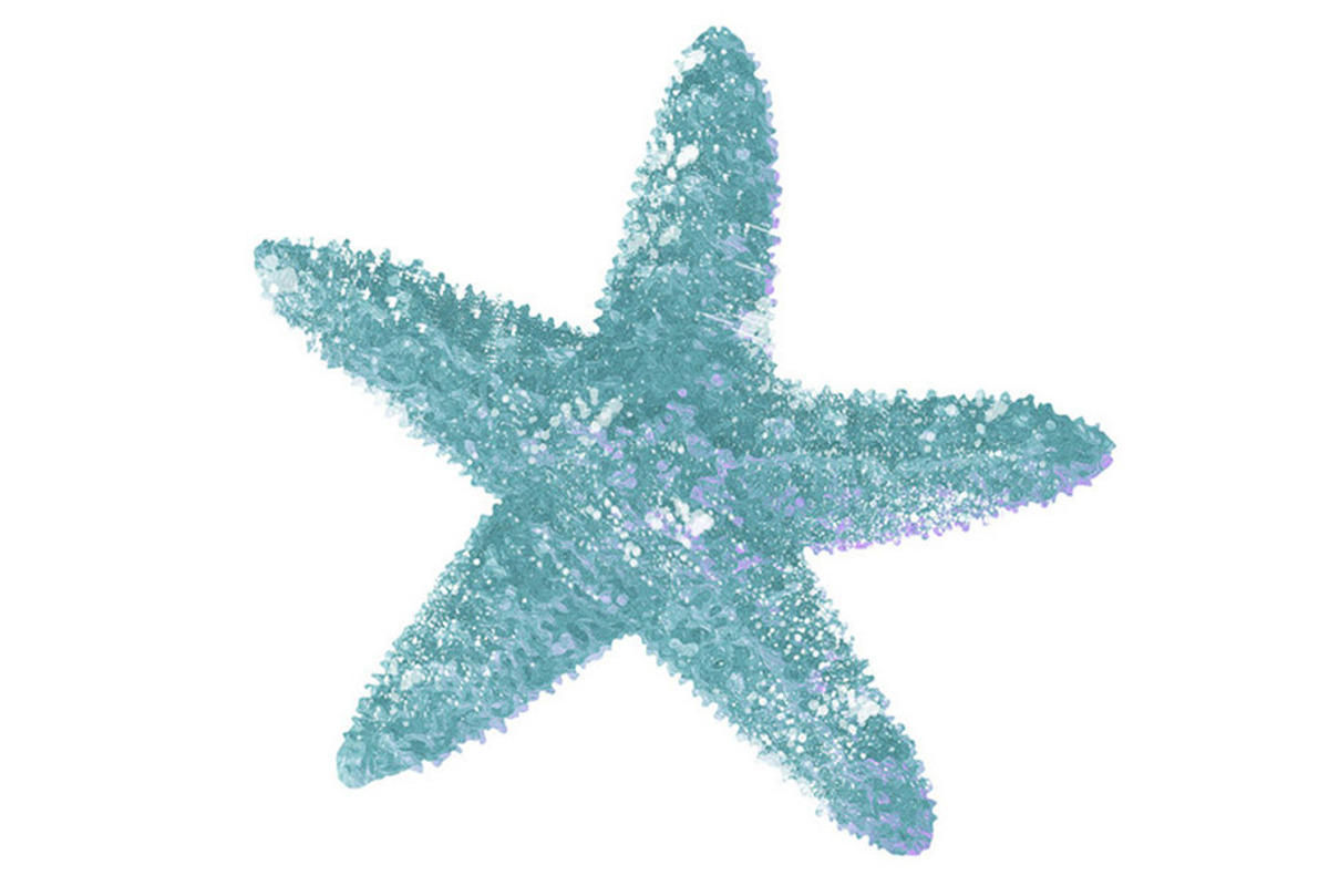 Little Starfish Illustration, a Decorative Illustration by Digital Art Downloads (Photo 1 of 3)