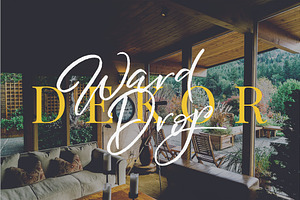 Wild Heart - Brush Font Set 40% OFF