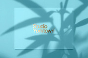 Kage - Botanical Shadow Overlays, a Texture Graphic by Studio Yorktown (Thumbnail 6 of 10)
