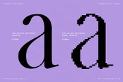 The Silver Editorial Pixel Version, a Serif Font by SilverStag Type Foundry (Thumbnail 19 of 20)