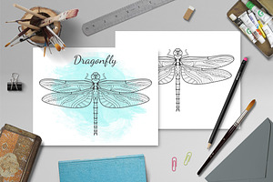 Sacred Dragonfly, Line Dragonfly