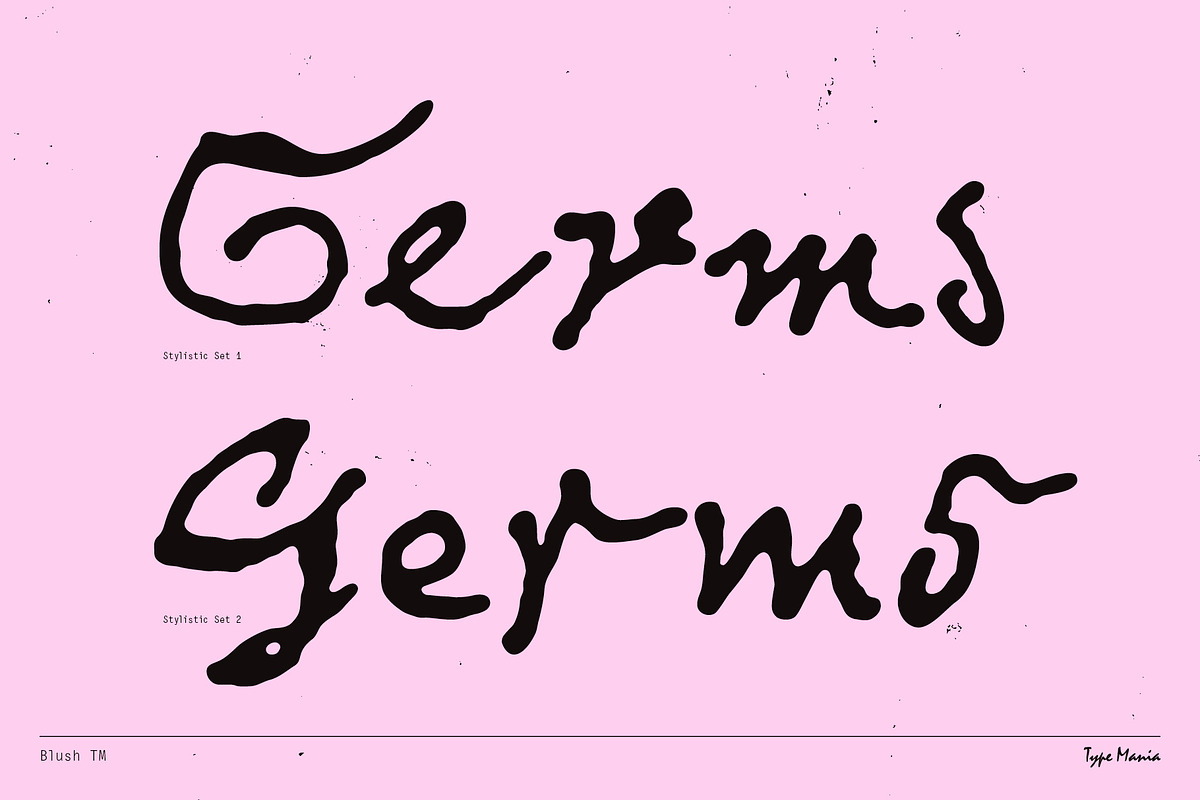 Blush TM – Messy Dynamic Script, a Handwritten Font by Type Mania (Photo 4 of 12)