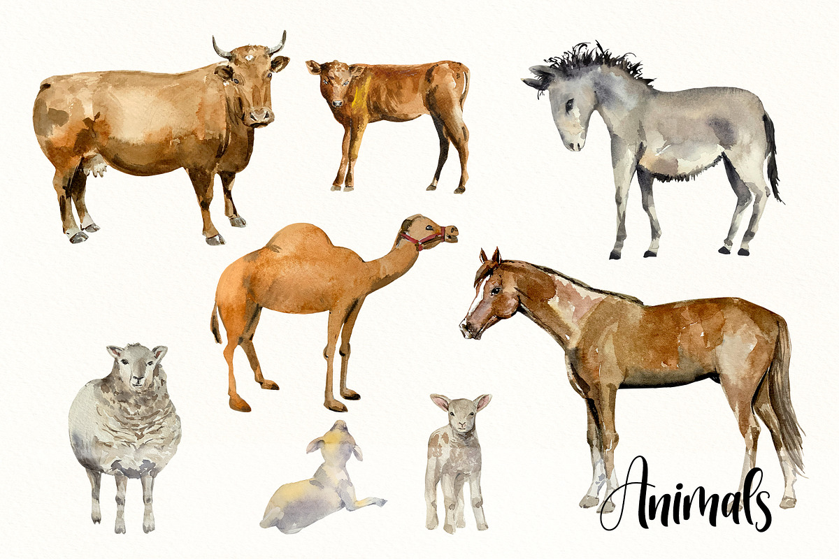 Holy Nativity - Watercolor Set, a Seasonal Illustration by Tati Bordiu (Photo 6 of 7)