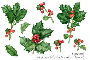 Watercolor Holly Leaves Clipart