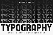 Brisk - Brutalism Sans Serif Font, a Sans Serif Font by Hamz Studio (Thumbnail 7 of 16)
