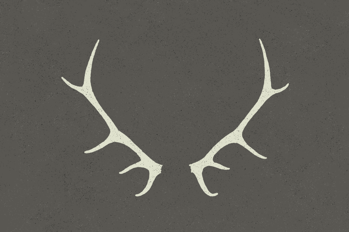 6 Deer Antlers - Hand Illustrated preview 4