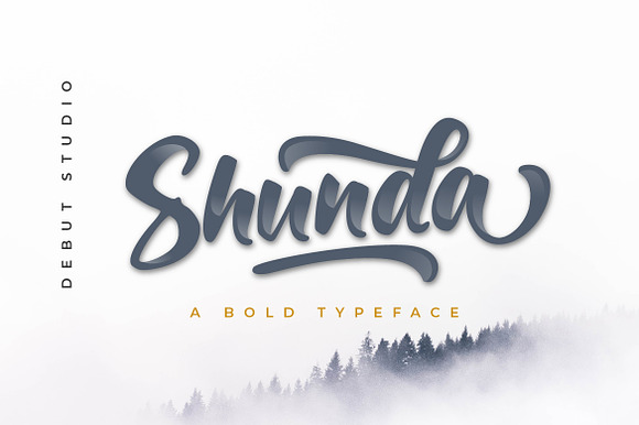 Shunda Typeface preview 8