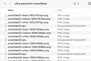 Digital Winter Vector Snowflakes, a Seasonal Illustration by Penina (Thumbnail 3 of 3)