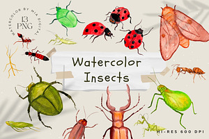 Watercolor Insects, Biological Set