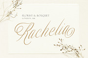 Merodine Script -, a Script Font by Letterhend Studio (Thumbnail 3 of 9)