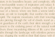 Mosbian Modern Serif Font, a Serif Font by Letterena Studios (Thumbnail 7 of 15)