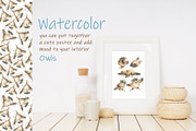 Сute owls. Seamless patterns., a Pattern Graphic by Novikova Lida (Thumbnail 9 of 9)