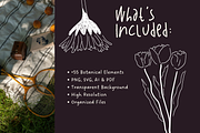 Wildflower Ink Atelier, a Decorative Illustration by The Journey Atelier (Thumbnail 2 of 19)