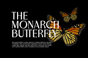 Magnitude - Stylish Sans Serif, a Font by Letterhend Studio (Thumbnail 2 of 10)