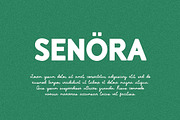 Boulevard Union Club Duo Font, a Sans Serif Font by UICreative (Thumbnail 2 of 13)