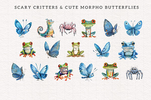 Quirky Rainforest Animals