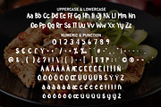 Spicy Chicken | Script Font, a Script Font by Scratchones (Thumbnail 7 of 9)