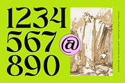 Enligas Modern Serif Display Font, a Serif Font by timelesstype.co (Thumbnail 3 of 15)