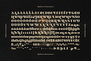 Mellora - Display Serif, a Serif Font by Fargun Studio (Thumbnail 11 of 24)