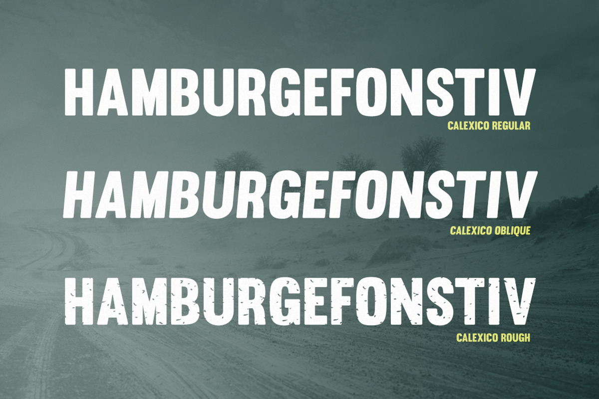 Calexico, a Sans Serif Font by La Tipomàtica (Photo 4 of 13)