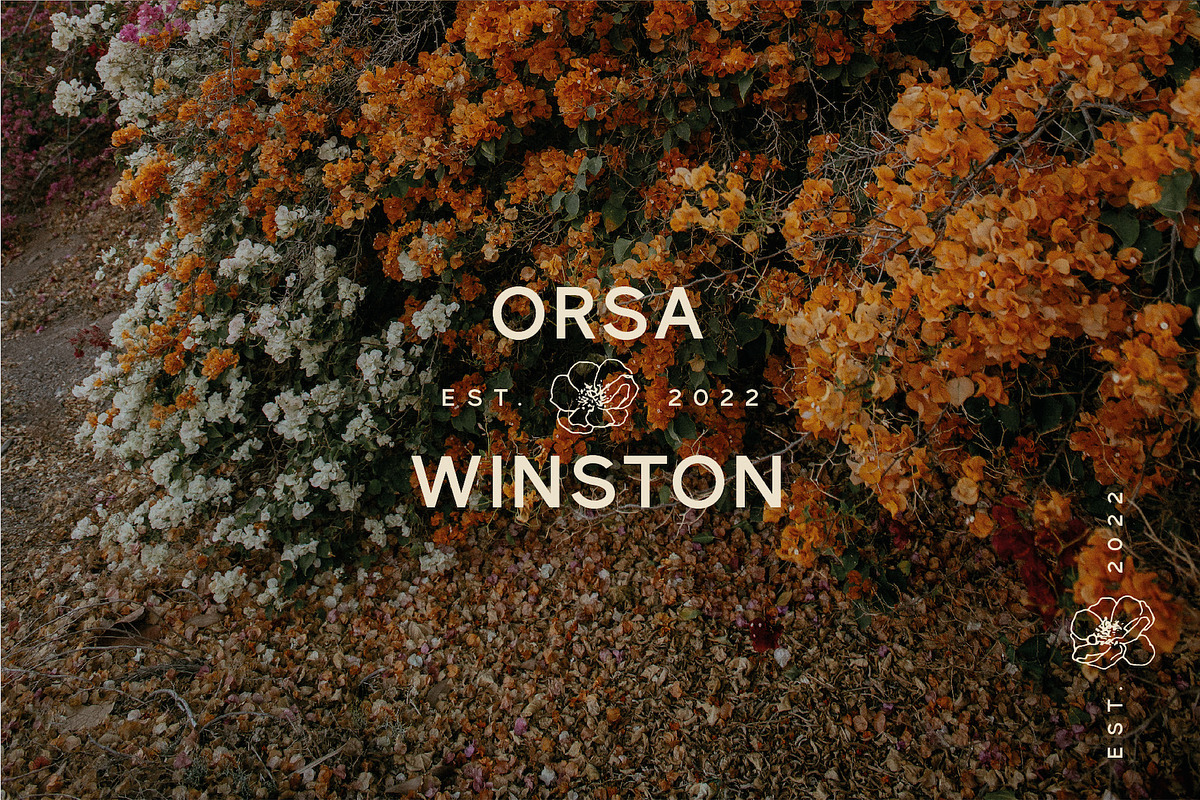 Karl – Cool Sans w Unique Alternates, a Sans Serif Font by Local Desk Designstudio (Photo 12 of 28)