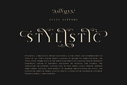 Salvalyn - Stylistic Serif Font, a Serif Font by Craft Supply Co. (Thumbnail 3 of 12)