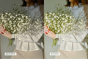 5 Natural Mobile Video LUTs, a Brushes & More by TheWayfarerShoppe (Thumbnail 13 of 17)