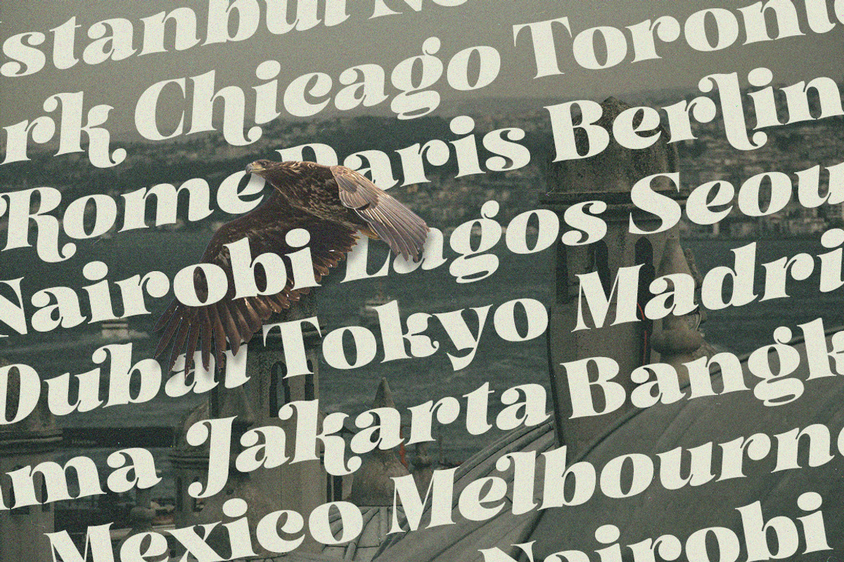 Mellora - Display Serif, a Serif Font by Fargun Studio (Photo 4 of 24)