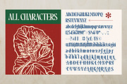Maristores Modern Serif Font, a Serif Font by timelesstype.co (Thumbnail 19 of 20)
