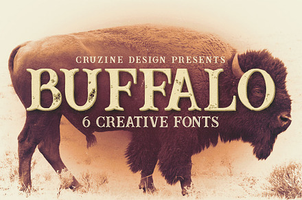 Buffalo Typeface, a Serif Font by Cruzine