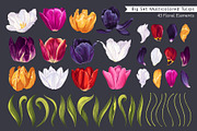 Big set Multicolored Tulips, a Graphic by MarynaPetrovska (Thumbnail 1 of 13)