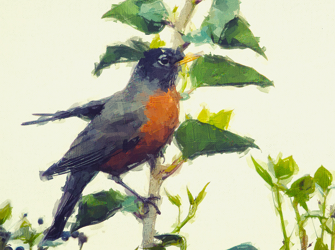 Canvas Oil Painting, an Action Add-On by MRI STUDIO (Photo 2 of 16)