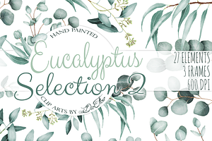 Eucalyptus 2 Watercolor Clip Art