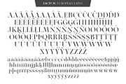 Factum font family, a Serif Font by Fontop (Thumbnail 3 of 12)